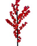 Yapay Çiçek Kokina Uzun Dal 90cm Yılbaşı Çiçeği Red Berry