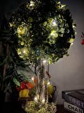 Led Işıklı Şimşir Top Yılbaşı Ağacı Tek Toplu 23cmx45cm Siyah Saksılı