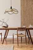 PERVANE TEKLİ CAMLI RATTAN SARKIT