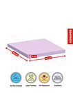 Xpermate Fermuarlı 2'li Sandalye Minderi Su İtici Kumaş 40x40Cm Sünger Sandalye Minderi Bağcıklı Lila