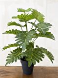 Yapay Ağaç Salon Bitkisi Syngonium 70 cm 18 Yaprak Antrasit Saksıda