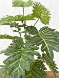 Yapay Ağaç Salon Bitkisi Syngonium 70 cm 18 Yaprak Antrasit Saksıda