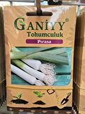 Ganiyy Pırasa Tohumu Kaliteli Güvenilir