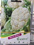 Ganiyy Karnı Bahar Tohumu Kaliteli Güvenilir
