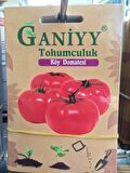 Ganiyy Köy Domatesi Tohumu Kaliteli Güvenilir