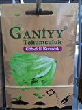 Ganiyy Göbekli Kıvırcık Tohumu Kaliteli Güvenilir
