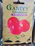 Ganiyy Kırmızı Antep Turp Tohumu Kaliteli Güvenilir
