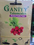 Ganiyy Kırmızı Fındık Turp Tohumu Kaliteli Güvenilir