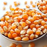 Benimaktar Sinema Mısırı Mısır 1 kg