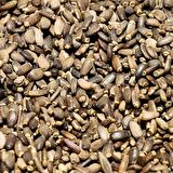 BenimAktar Devedikeni Tohumu 1 Kg