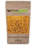 BenimAktar Hardal Tohumu Sarı Yeni Mahsül 250 Gr