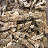 BenimAktar Hazanbel Kökü 1 Kg