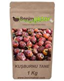BenimAktar Yeni Mahsül Kuşburnu Tane 1 Kg