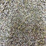 BenimAktar Lavanta Otu Yeni Mahsül 1.Kalite 250 Gr