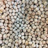 BenimAktar Beyaz Leblebi Tazelik Garantili 1 Kg