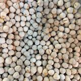 BenimAktar Beyaz Leblebi Tazelik Garantili 250 Gr