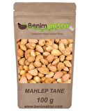 BenimAktar Mahlep Tane 100 Gr