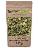BenimAktar Kurutulmuş Maydanoz Yaprağı 100 Gr