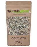 BenimAktar Oğul Otu 250 Gr