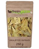BenimAktar Okaliptüs Yaprağı Yeni Mahsül 250 Gr