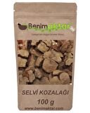 BenimAktar Servi Selvi Kozalağı Yeni Mahsül 100 Gr
