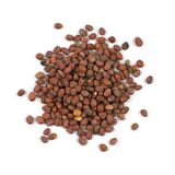 BenimAktar Turp Tohumu Temiz 1.Kalite 100 Gr