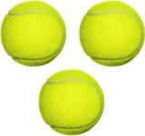Tenis Topu Antrenman Sarı 3 Adet Birden Köpek Dişleme Topu Oyun Topu