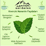 Doğalsan Yulaf kepeği 400 gr + yulaf unu 1kg +kıvırcık nane çayı doğal sağlık seti