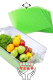 GREEN HERO 2 Adet Gıda Koruyucu Buzdolabı/Dondurucu Matı Yeşil Nem Önleyici Mat 31x47x0,8