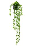 Yapay Çiçek Saksıda Sarkan Okaliptus 80cm