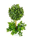 Yapay Ağaç Şimşir Top Tek Toplu Şimşirli 12x31cm Beyaz Saksıda 