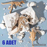 6 adet fosil iskelet dinozor arkeolojik kazı oyunu bilim faaliyeti etkinlik proje seti