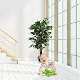 Yapay Ağaç Benjamin 2 Gövdeli Çalılı 120x70cm Siyah Plastik Saksılı