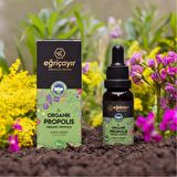 PROPOLİS ORGANİK 20 ML(ALKOL BAZLI) PROPOLİS DAMLA 