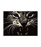 Vahşi Kedi Notebook Sticker, Laptop sticker,, Hp Sticker, Asus Sticker, 15.6 inç Sticker