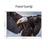 Kartal Notebook Sticker, Laptop sticker,, Hp Sticker, Asus Sticker, 15.6 inç Sticker