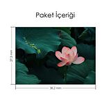 Pembe Nilüfer Çiçeği Notebook Sticker, Laptop sticker,, Hp Sticker, Asus Sticker, 15.6 inç Sticker