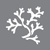 Coral Stencil Boyama şablonu 30x30 cm, Duvar Stencil, Fayans Stencil, Mobilya Stencil