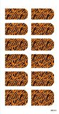 Renkli Zebra Tırnak Dövmesi,Tırnak Tattoo,Nail Art ,Tırnak Sticker