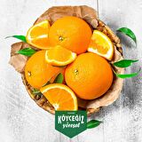 Kb Köyceğiz Yöresel Köyceğiz Portakalı 8 KG