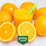 Kb Köyceğiz Yöresel Köyceğiz Portakalı 8 KG