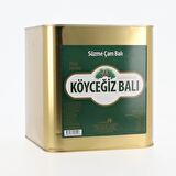 Köyceğiz Balı Çam Balı 10 Kg Teneke