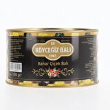 Köyceğiz Balı Bahar Çiçek Balı 1850 G Teneke