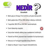 Octokids Ballı Anne Çocuk Birlikte Tüketebileceği Multivitamin Multimineral  Gıda Takviyesi
