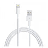 Nettech NT-DC09 2.4A Plastik 200 Cm Lightning Şarj ve Data Kablosu (Beyaz)