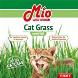 Mio Doğal Kedi Çimi (Fileli)