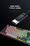 Rampage YORU TKL Gri/Siyah Type-C Bağlantılı OUTEMU Red Swich Q Mekanik Gaming Oyuncu Klavye RGB