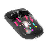 Everest SM-BT89 OPAL Şarj Edilebilir Sessiz Siyah Transparan RGB 2in1 2BT ve 2.4GHz Kablosuz Mouse