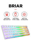 Brıar Type-C Bağlantılı RGB Puding Tuşlu Mekanik Red Switch Türkçe Q Gaming Oyuncu Klavyesi Beyaz