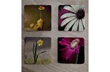 Papatya ve Çiçekler Doğal Taş Bardak Altlığı 4'lü set - Natural Stone Coasters